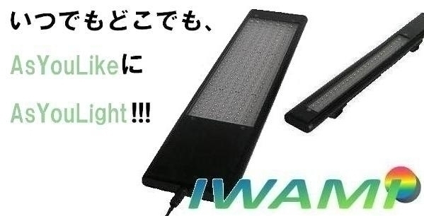 As You Light 【IWAMI】　